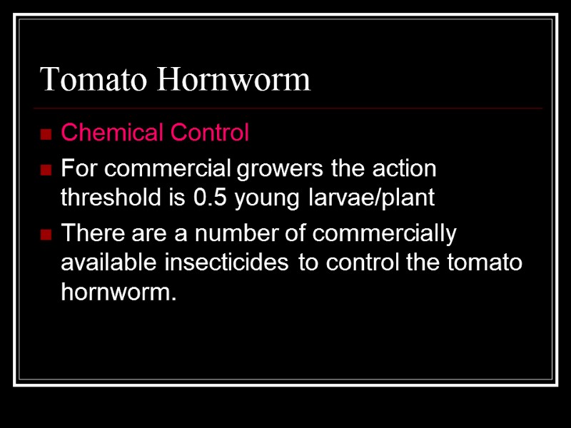 Tomato Hornworm Chemical Control For commercial growers the action threshold is 0.5 young larvae/plant